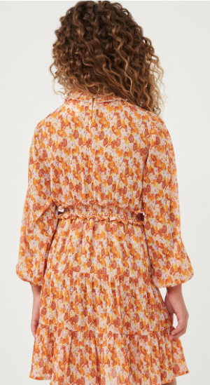 Girls Floral Print Smocked Detail Puff Sleeve Dress in Rust