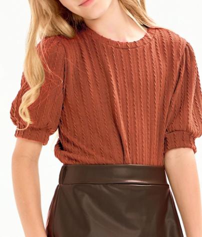 Embossed Knit Short Puff Sleeves Top in Rust