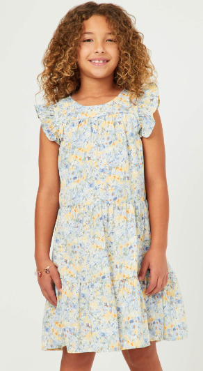 Girls Floral Print Ruffle Sleeve Tiered Dress in Blue
