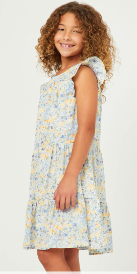 Girls Floral Print Ruffle Sleeve Tiered Dress in Blue