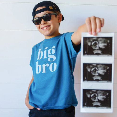 Big Bro Short Sleeve T-Shirt - Indigo