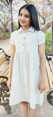 Ecru and Sage Pin Stripe Puff Sleeves Dress