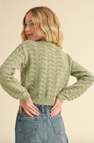 Crew Neck Wavy Pointelle L/s Light Wegith Sweather in sage