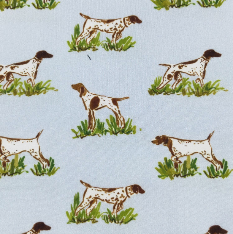 Pointer Hunt Boy Romper