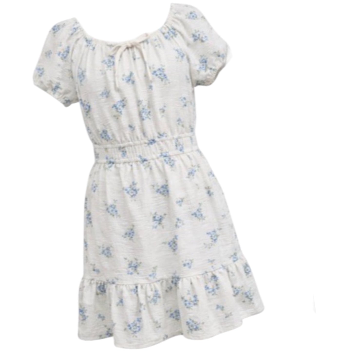 Ivory Blue Floral Dress