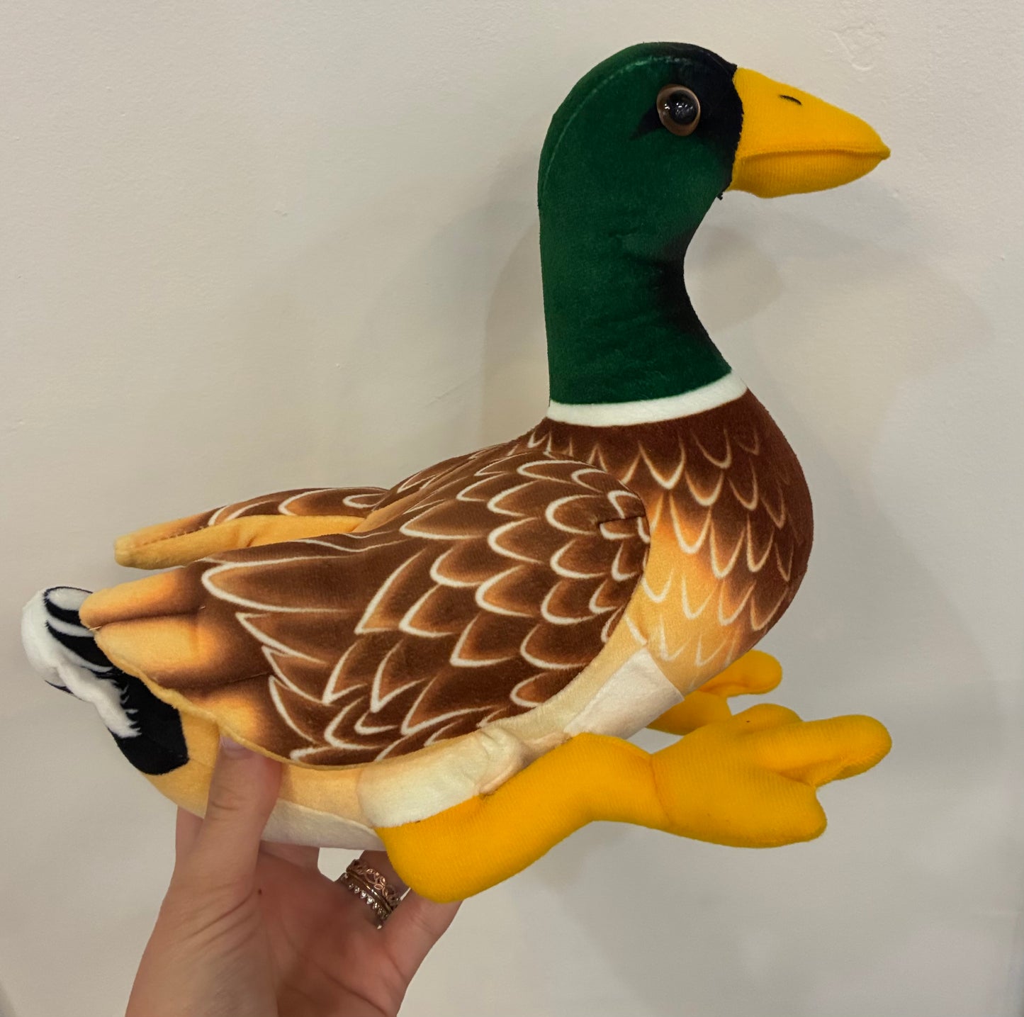 Duck