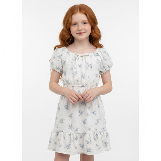 Ivory Blue Floral Dress