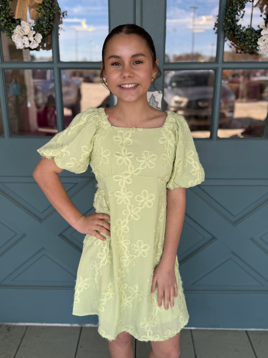 Girls Floral Embroidered Puff Sleeve Dress in Sage