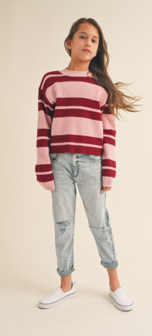 Pink/Red Striped Sweater