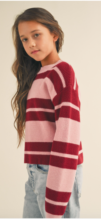 Pink/Red Striped Sweater