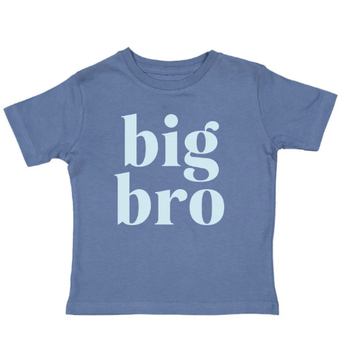 Big Bro Short Sleeve T-Shirt - Indigo