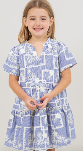 Striped Floral Embroidered Tiered Dress in Blue
