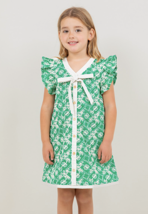Embroidered Ruffle Sleeve Self Tie Ribbon Dress in Green