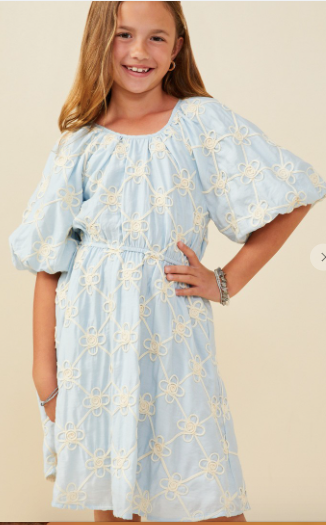Girls Floral Embroidered Puff Sleeve V Neck Dress in Blue