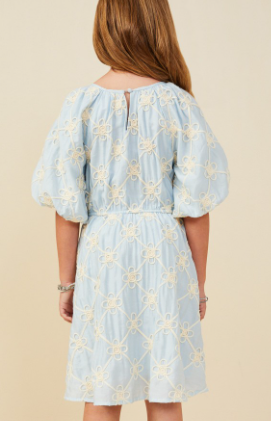 Girls Floral Embroidered Puff Sleeve V Neck Dress in Blue