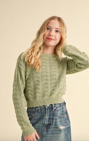 Crew Neck Wavy Pointelle L/s Light Wegith Sweather in sage