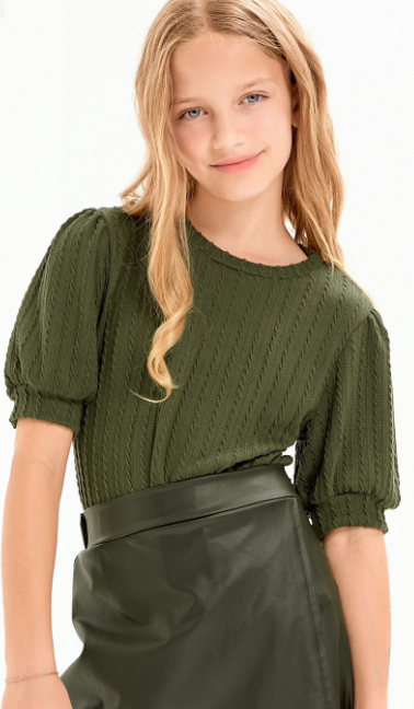 Embossed Knit Short Puff Sleeves Top