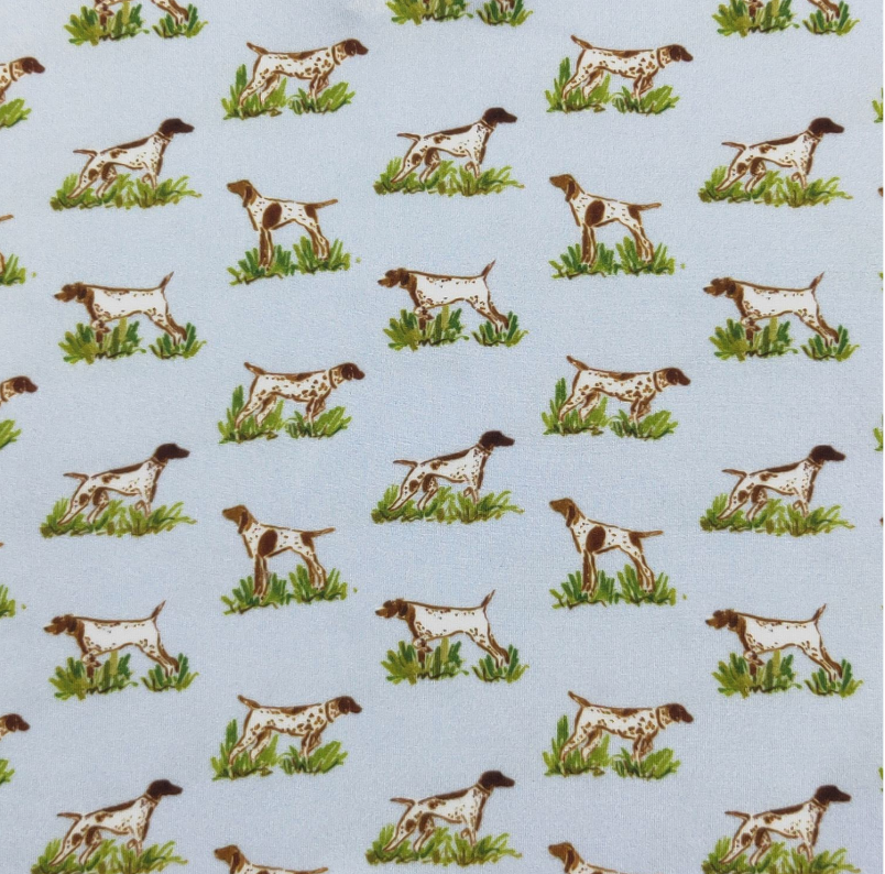 Pointer Hunt Boy Collar Shirt