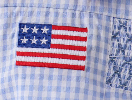 BLUE FLAG SMOCKED PETER PAN COLLAR GINGHAM BUBBLE